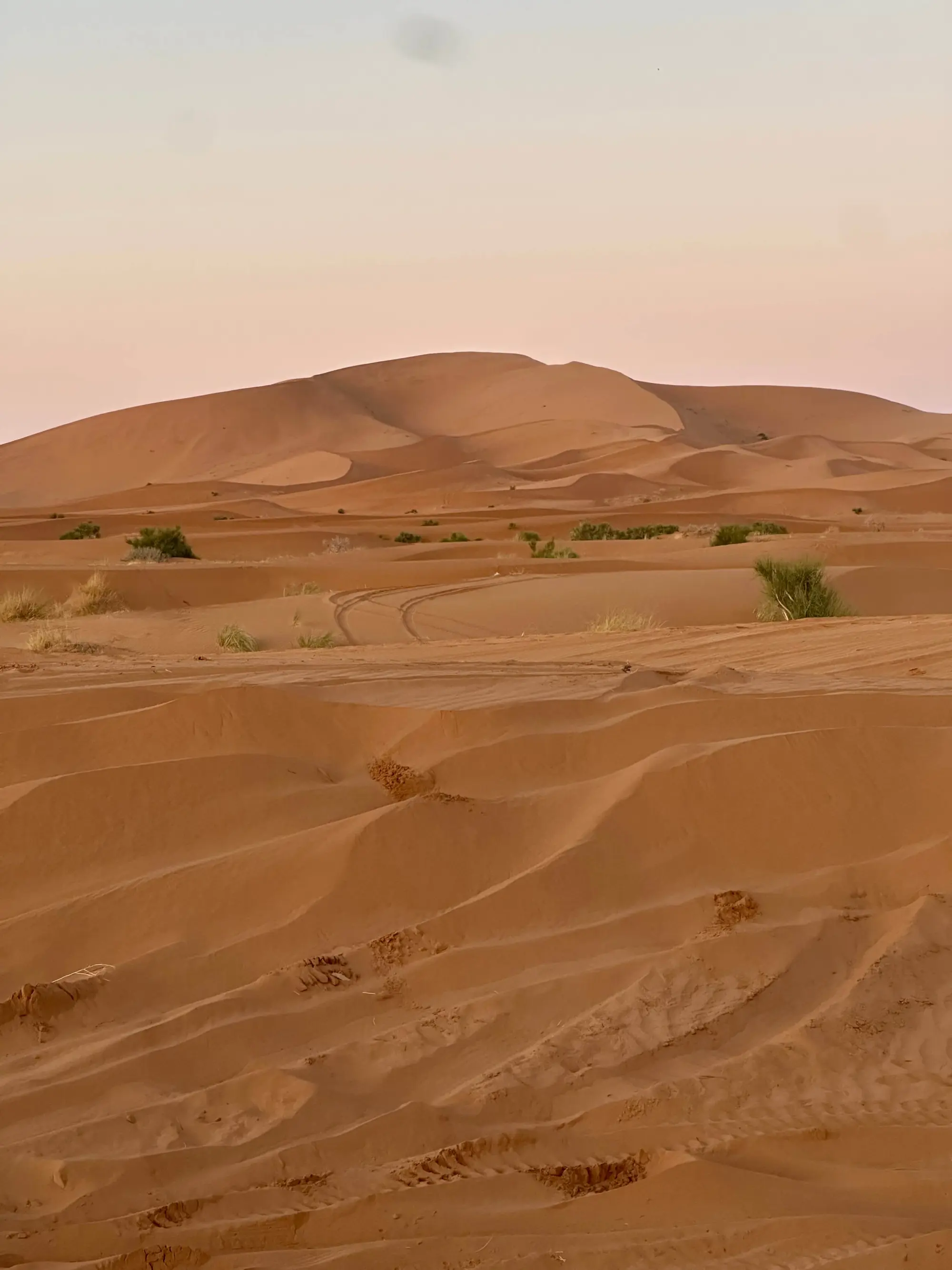 Erg Chebbi
